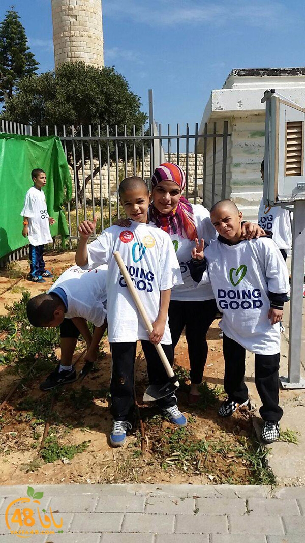 a3mal tayeba 7san3arafa (20).JPG